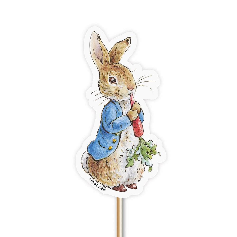 peter rabbit cupcake and cake topper