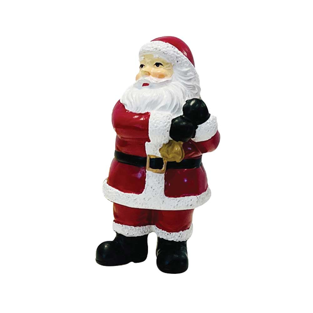 Cake Topper - Santa
