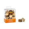 bon bon cases gold