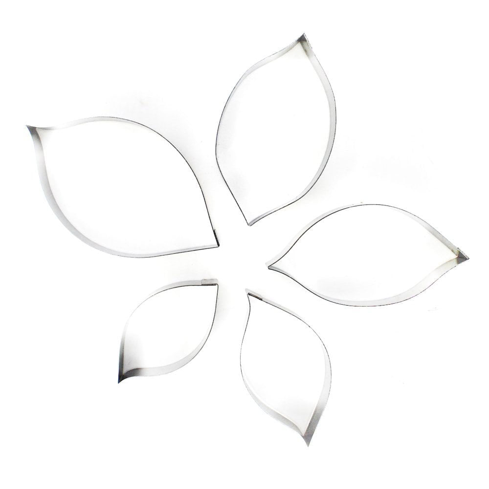 ruscus leaf set of 5 suzanne esper