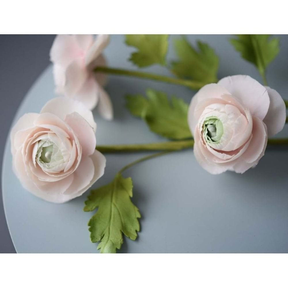 suzanne esper ranunculus set of 5 cutters