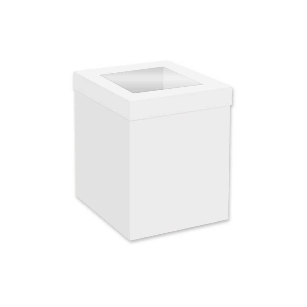 Tall Cake Box with Window 25cm 10"