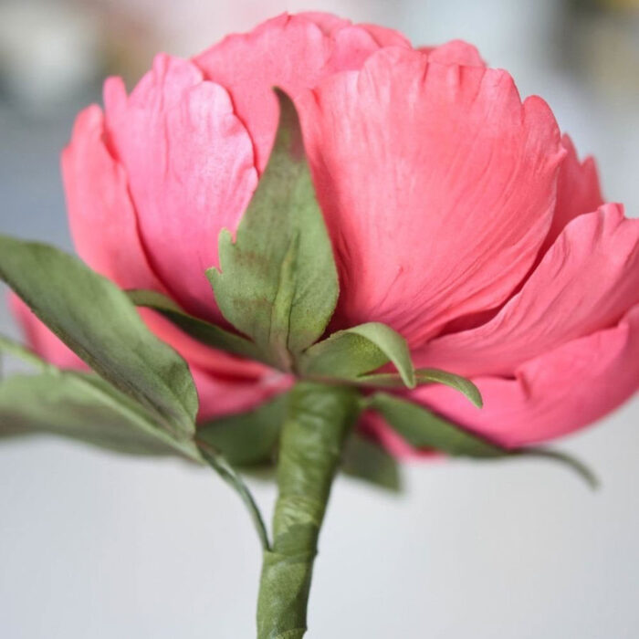 suzanne esper rose calyx